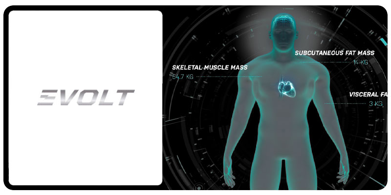 Evolt